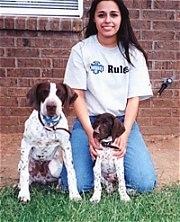 Two white with brown German Shorthaired Pointers are sitting next to each other in front of a house. One is a fullgrown dog and the other is a puppy. There is a girl sitting behind the puppy