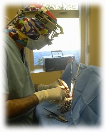 A veterinarian has tools in his hands as he performs surgery on a dog's cleft palate