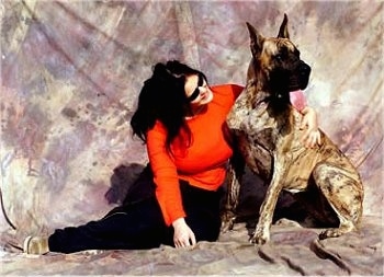 A lady in a red shirt is hugging a brindle Great Dane sitting on a backdrop