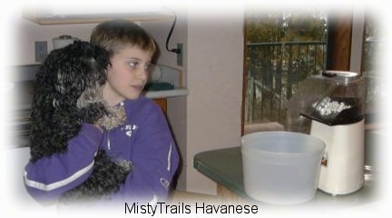 A child in a purple jacket is holding a black with grey dog in his arms and they are looking at a popcorn machine make popcorn.