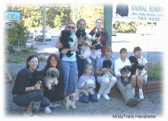 A line of people posing for a photo and they are holding there little show dogs.