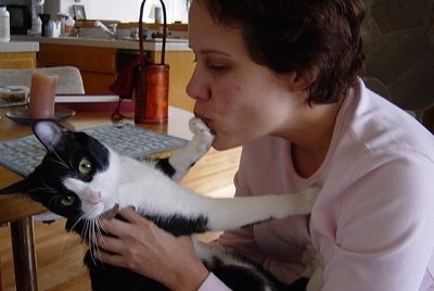 Henry the cat with his paws on the face of a lady and turning away from her as she tries to give him some affection by kissing him