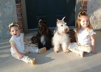Two girls are sitting on a stone porch and there are two Miniature Schnauzers sitting in between them.