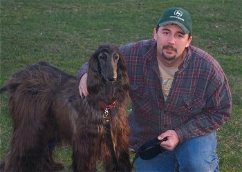 The front right side of a black Afghan Hound that is standing outside on lawn next to a man wearing a John Deere Hat