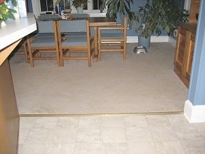 A Food Bowl next to a dining room table in front of a potted plant