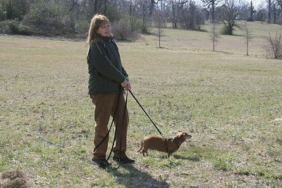 Margo with Weezil the Dachshund on a leash in a field with a human holding the lead