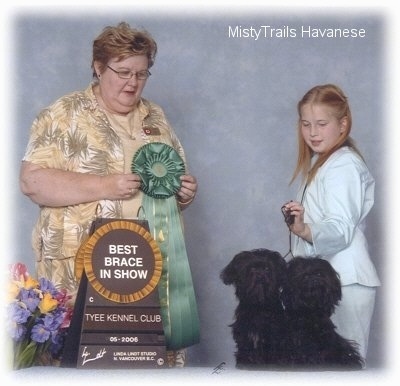 Girl in a white pant suit is holding the leash of two black Havanese dogs. The dogs are sitting and looking forward, across from all of them is a lady holding a green ribbon.
