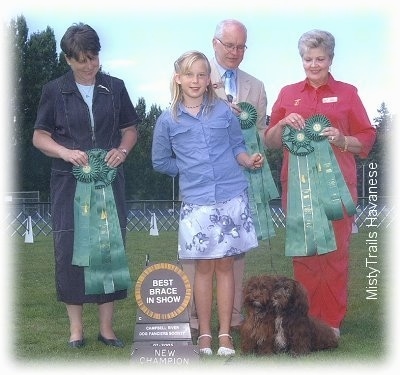 A blonde-haired girl dressed in blue is holding the leash of two small, long haired, chocolate Havanese dogs that are sitting in grass. She is surrounded by people in suits holding ribbons.