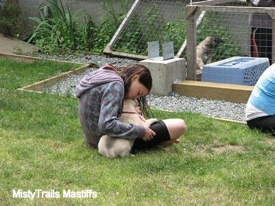 Puppy in the lap of a girl licking her face