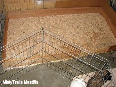 Wood chip potty area