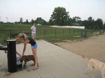 The left side of a blonde-haired girl pushing the fountain button so a dog can get a drink out of its fountain.