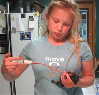 Girl holding the tube in one hand and the puppy in the other, slowly feeding