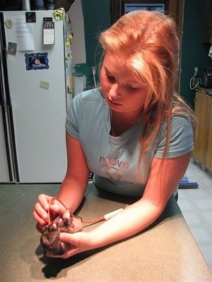 A girl feeding a preemie puppy