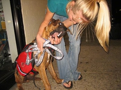 Amie getting the Cigarette butt out of Brunos mouth