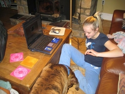 Bruno the Boxer licking Amie's feet as she stops working on HorsesWithAmie.com