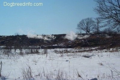 A Steaming hill in Centralia Pa