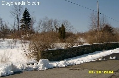 A stone wall covered in snow