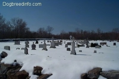 Snowy tombstones in a cemetary