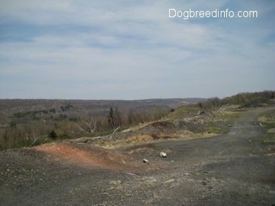 A dirt path overlooking Centralia Pa