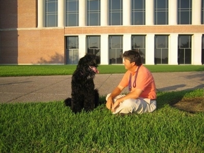 Boris the Black Russian Terrier sitting next to its owner with its mouth open and tongue out in front of a building
