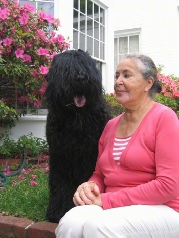 Boris the Black Russian Terrier sitting next to a lady with his mouth open and tongue out