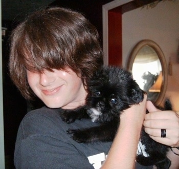 A black with white Griffonese puppy is being held in the arms of a teenage boy who is smiling and looking away from the puppy. The boy's front bangs are covering his eyes.