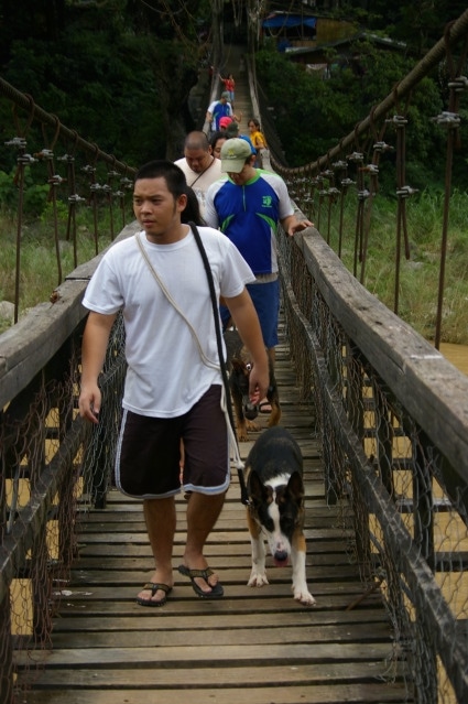 Hitman the Panda Shepherd and a line of people are crossing a wooden bridge over a body of water