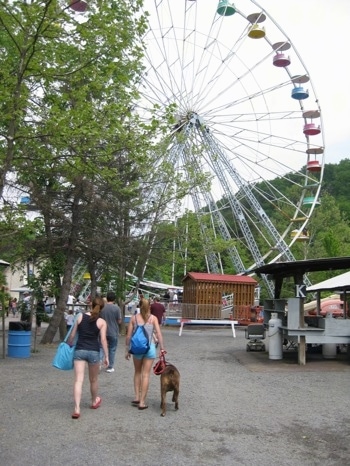 Bruno the Boxer at Knoebels Amusement Park