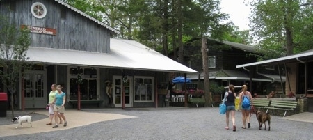 Bruno the Boxer at Knoebels Amusement Park walking with Amie and Sara