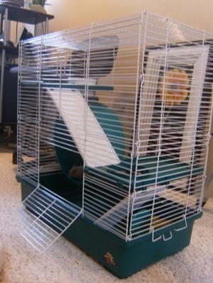 A three level white wire cage is standing on a carpet and the cage door is open.