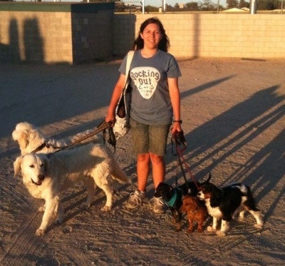 A lady in a blue t-shirt that says 'Rocking Out!' is standing in dirt with five leashed dogs and a tan brick wall behind her.