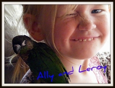 Close up - A Green Cheek Conure is standing on the shoulder of a girl who is winking her eye. The words - Ally and Leroy - are overlayed