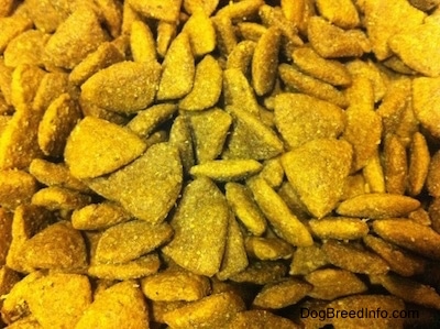 Close up - A bowl of dry kibble dog food