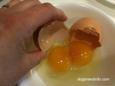 Two Yolks from one egg in a bowl with a cracked shell. A person is grabbing a shell with there hand.