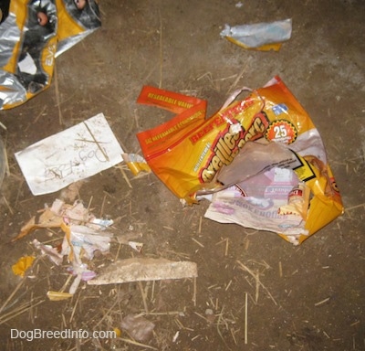 An empty bag of Pig Ear treats that are ripped at the bottom. The bag is laying on the ground.