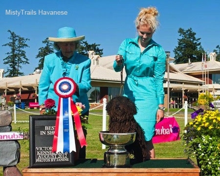A Corded Havanese is standing with its front paws in a trophy cup. There is a lady in teal-blue behind the dog holding its leash. There is a second lady in teal-blue next to them holding a red, white and blue ribbon