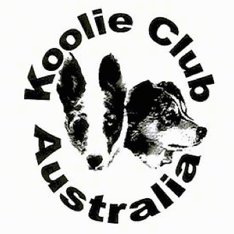 A logo with the words - Koolie Club Australia - are overlayed. There is the face of two Australian Koolies in the middle