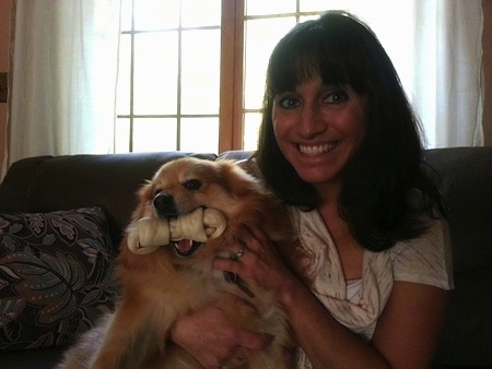 A smiling lady is sitting on a couch holding a small dog that has a rawhide bone in its mouth.