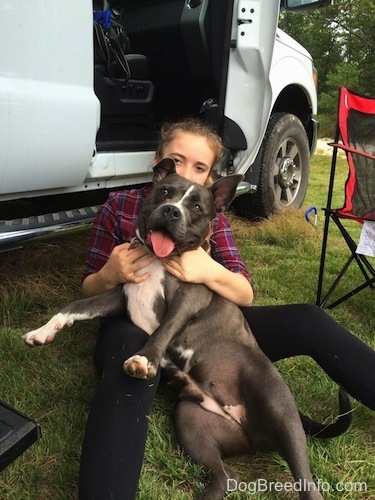 A girl is sitting in grass and she is holding a blue nose American Bully Pit in between her legs. The dog looks happy with its mouth open and tongue out. They are sitting on the ground in front of a Ford based Tiger Adventure Vehicle RV.