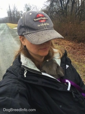 A lady in a 'Tractor Supply Co.' Hat is walking with a blue nose American Bully Pit in her jacket.