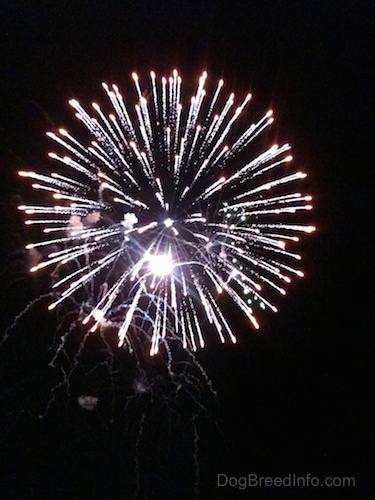 A firework exploding in a sky