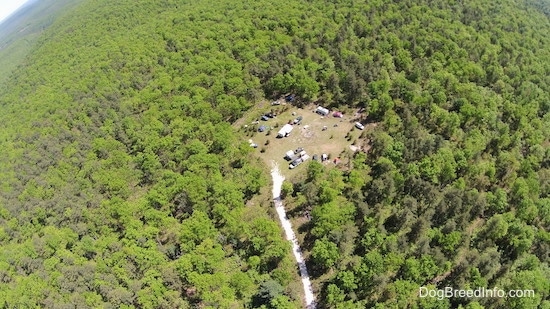 An aerial drone shot of a campground surrounded by trees.