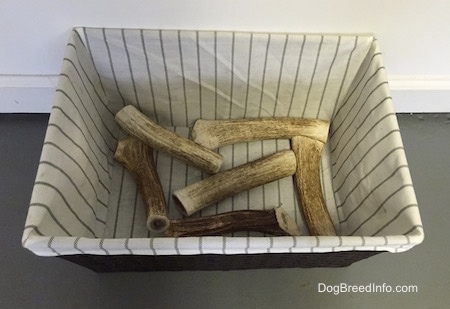 A basket full of elk horns to chew.