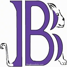 A drawn picture of a dog that is also the letter B