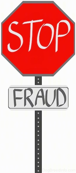 A drawn sign that read - STOP FRAUD.