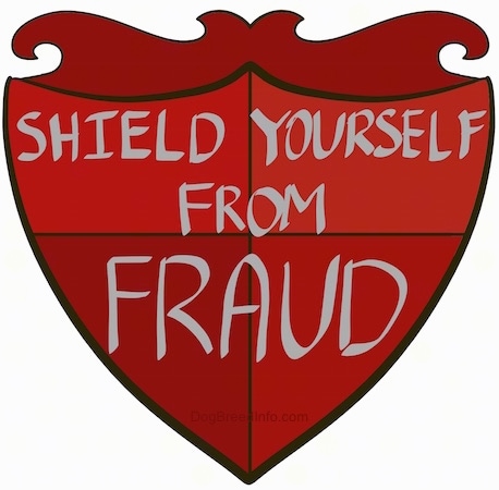 A drawn red shield that reads - SHIELD YOURSELF FROM FRAUD