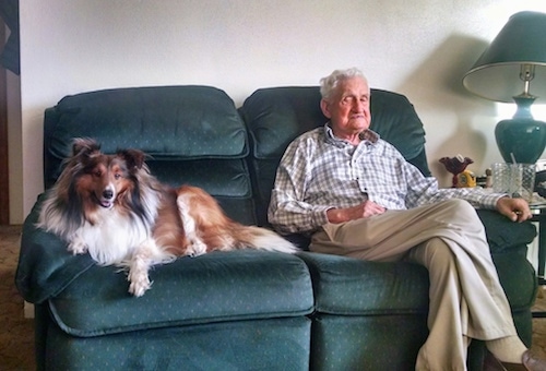 A brown and white with black Shetland Sheepdog is laying on a couch next to a gray haired man who is sitting with his legs crossed.