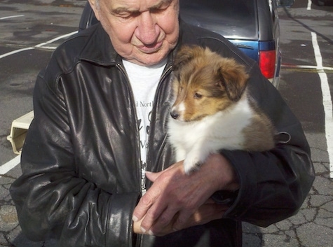An old man in a black leather jacket is holding a small brown and white Shetland Sheepdog puppy under his arm.