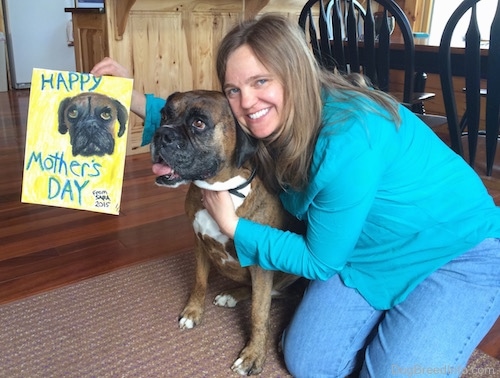 A smiling, blonde-haired lady in a teal-blue shirt and blue jeans kneeling down on a brown throw rug on a hardwood floor with her arm around a brown brindle Boxer dog while holding a yelling bordered drawling of the dog's face with the words 'Happy Mother's Day From Sara 2015'