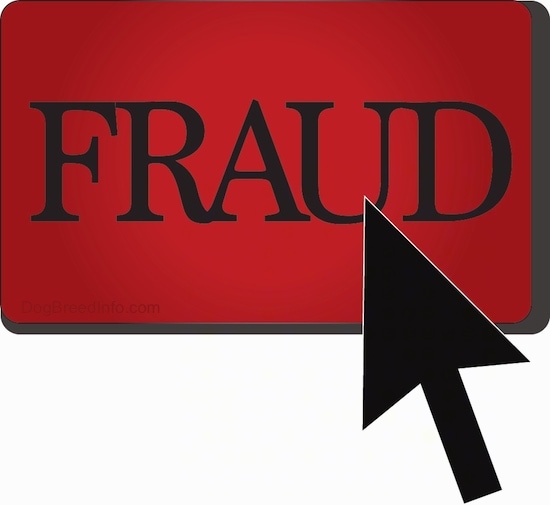 A drawn picture of a red fraud sign with a black arrow curser pointing to the word 'FRAUD'